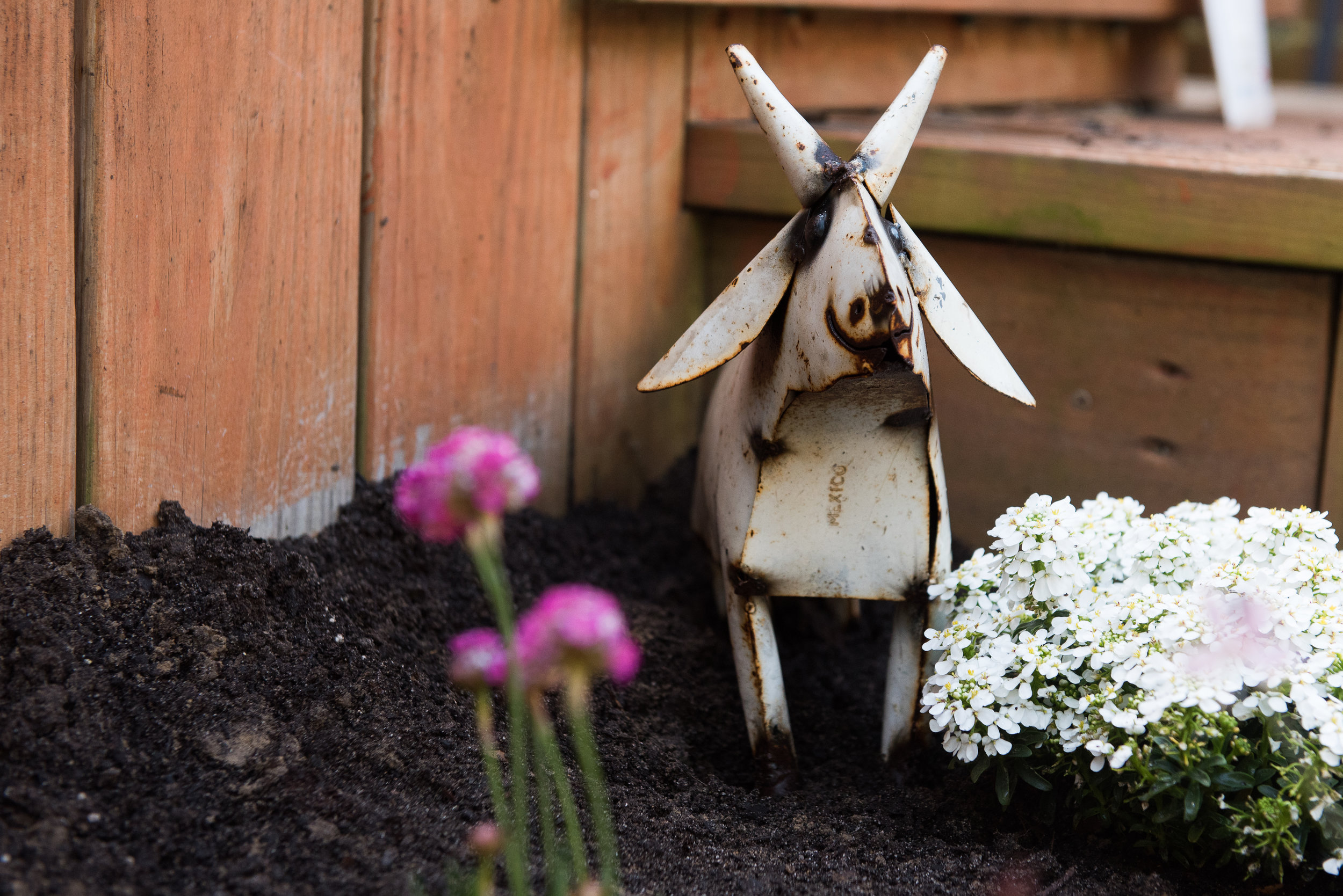 How to Plant a Bee Garden: DOs and DON'Ts
