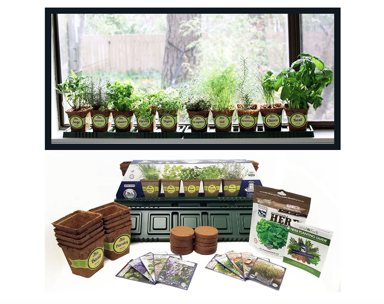 Indoor Herb Garden