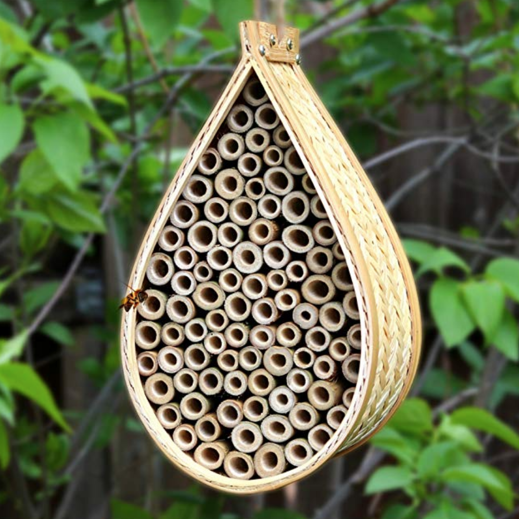 Mason Bee House