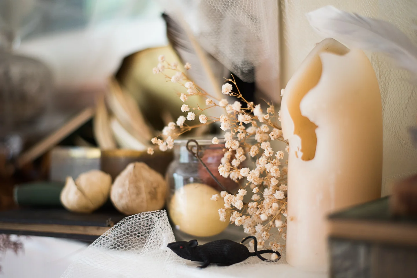 Cheap, Sophisticated DIY Halloween Decor (Zero Waste) — Compost and Cava