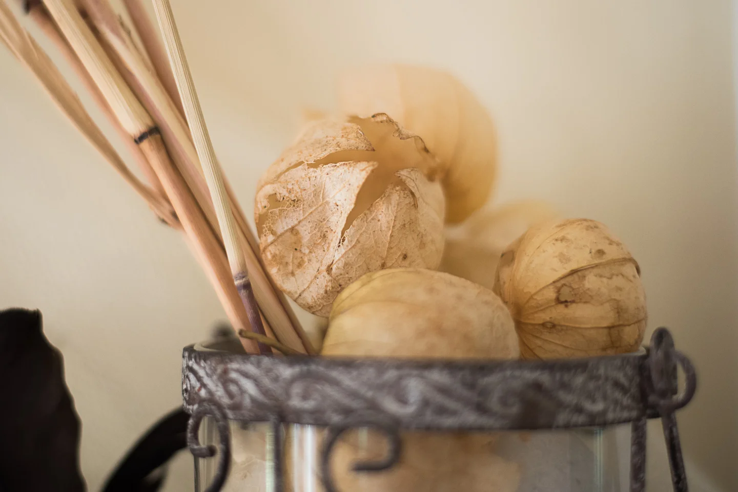 Cheap, Sophisticated DIY Halloween Decor (Zero Waste) — Compost and Cava