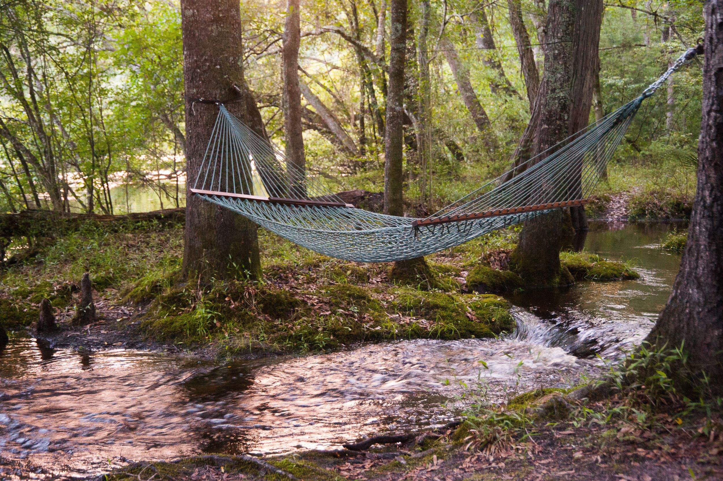 Edisto River Treehouses: Getting Away From It All