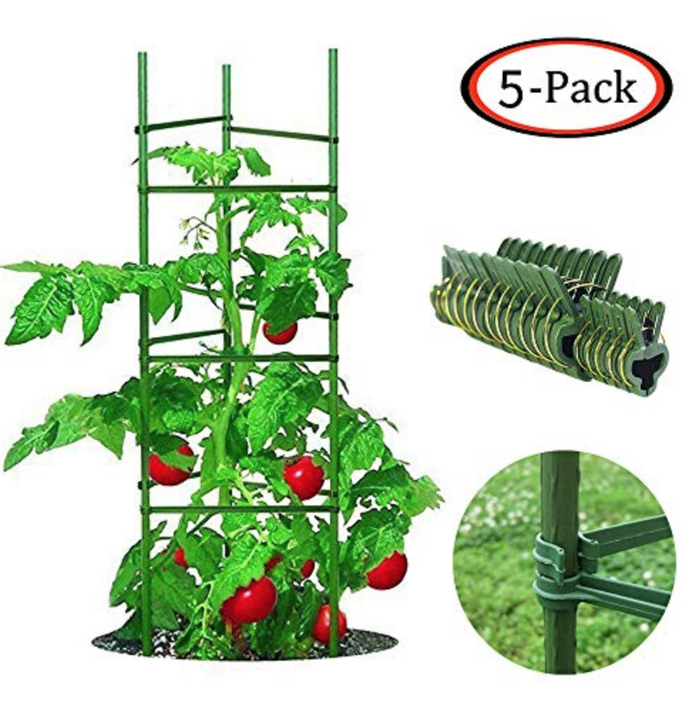 Tomato Cages