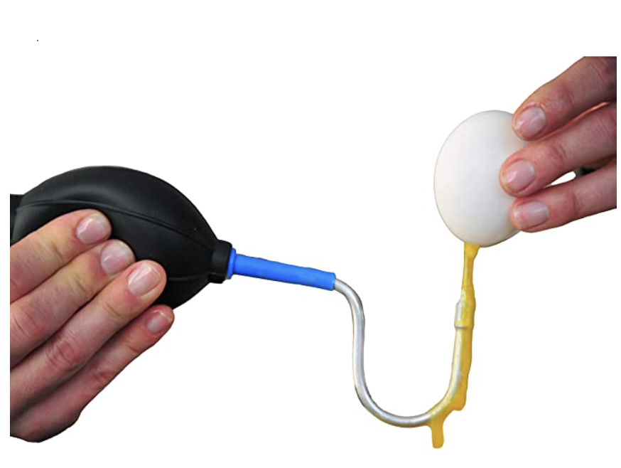 Egg Blowing Kit