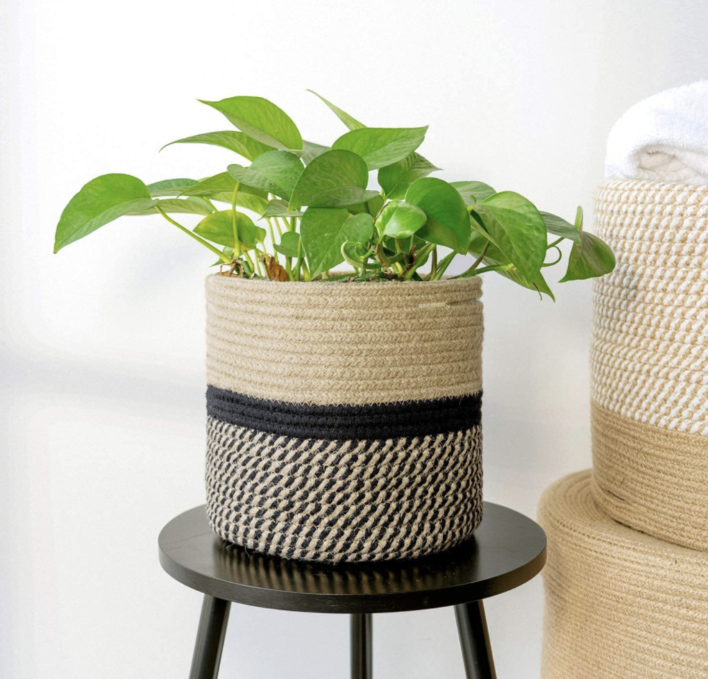 Jute Planter