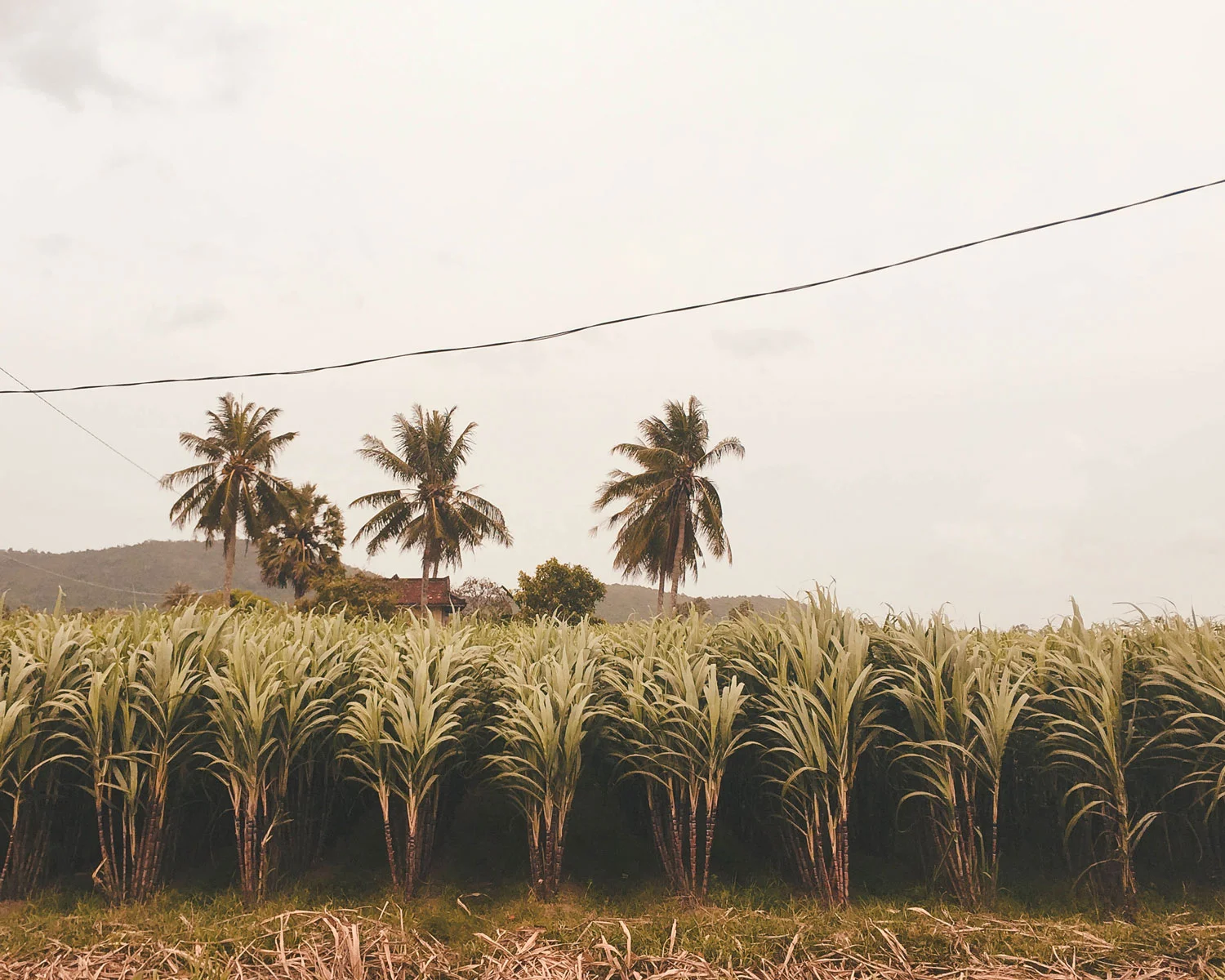 cambodia_11.jpg