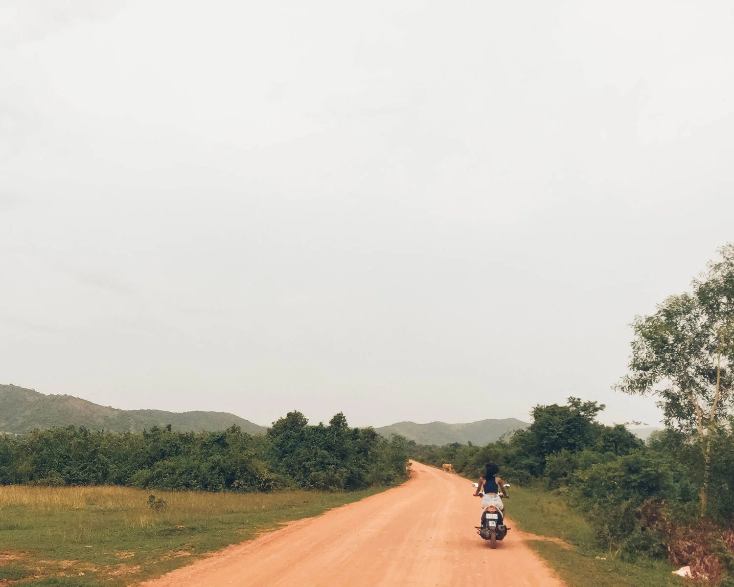 cambodia_12.jpg