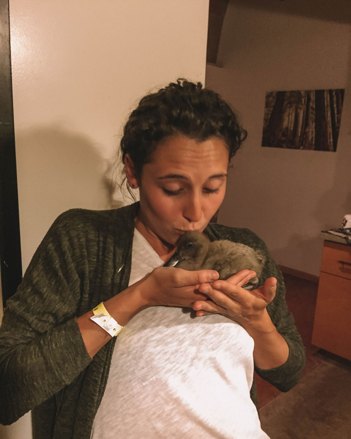 The cutest little Arcosanti pet, Lucifer