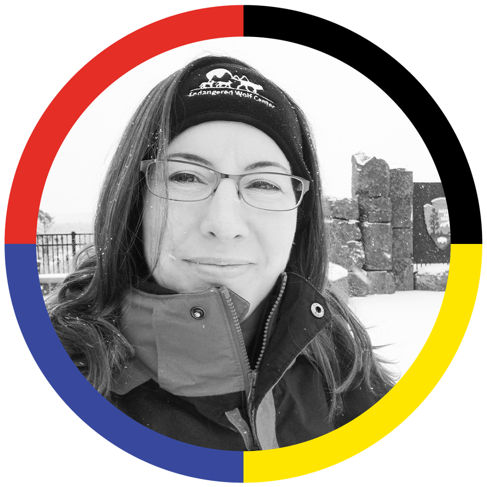 Who is afraid of the Big Bad Wolf?, Regina Mossotti