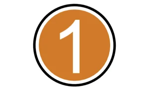 1 icon orange.jpg