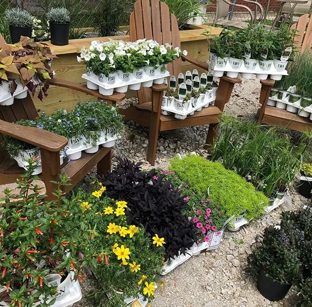 Plant order is in!! 😍 Got a lot of fun stuff coming up. DIY planter kits. Fully planted containers. Stay tuned for pics &amp; pricing!  #johnsonnursery #provenwinners #plantloversdream #containergardening