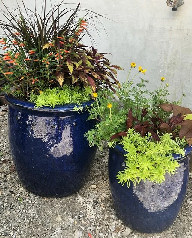 These two beauties are still up for grabs! $179 for the pair. 👌
Message to snag them while you can!