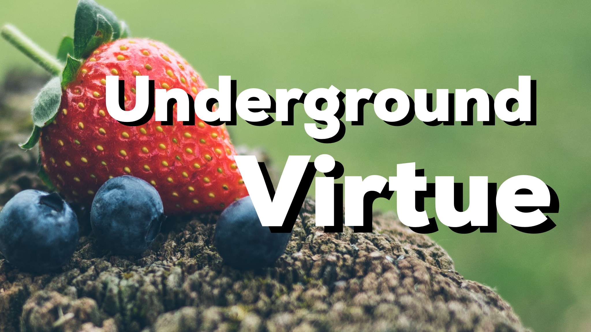 Jesse leads us in a discussion about Virtue in life and as a follower of Jesus.