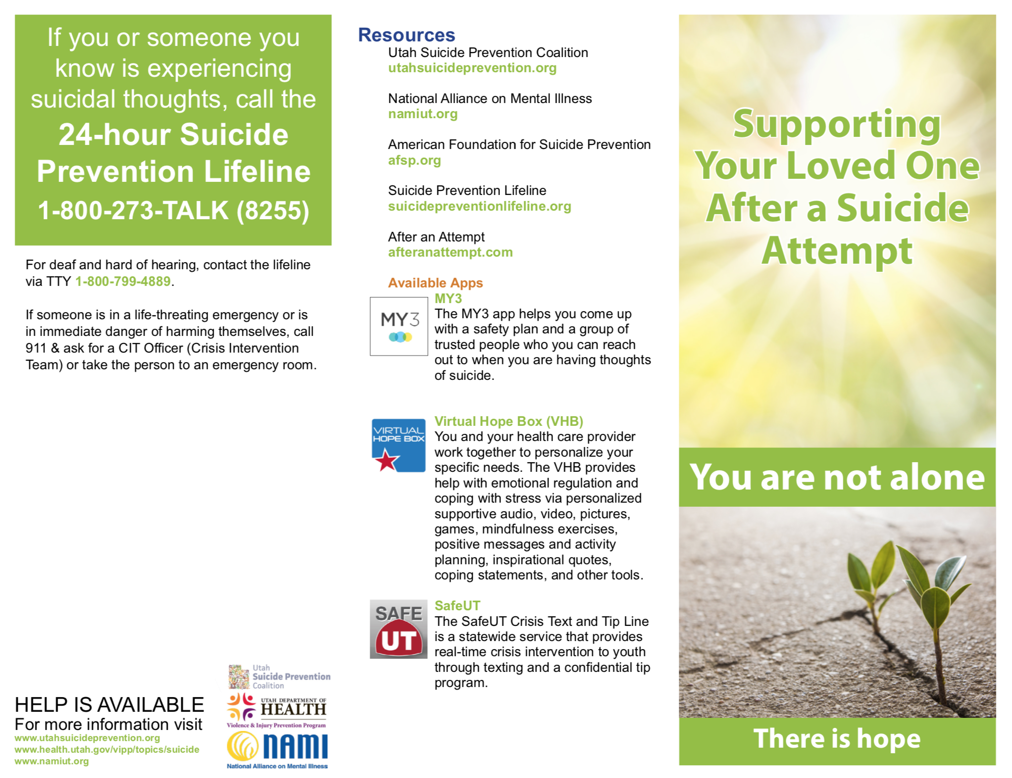 Supporting Your Loved One After a Suicide Attempt (Utah) - Download