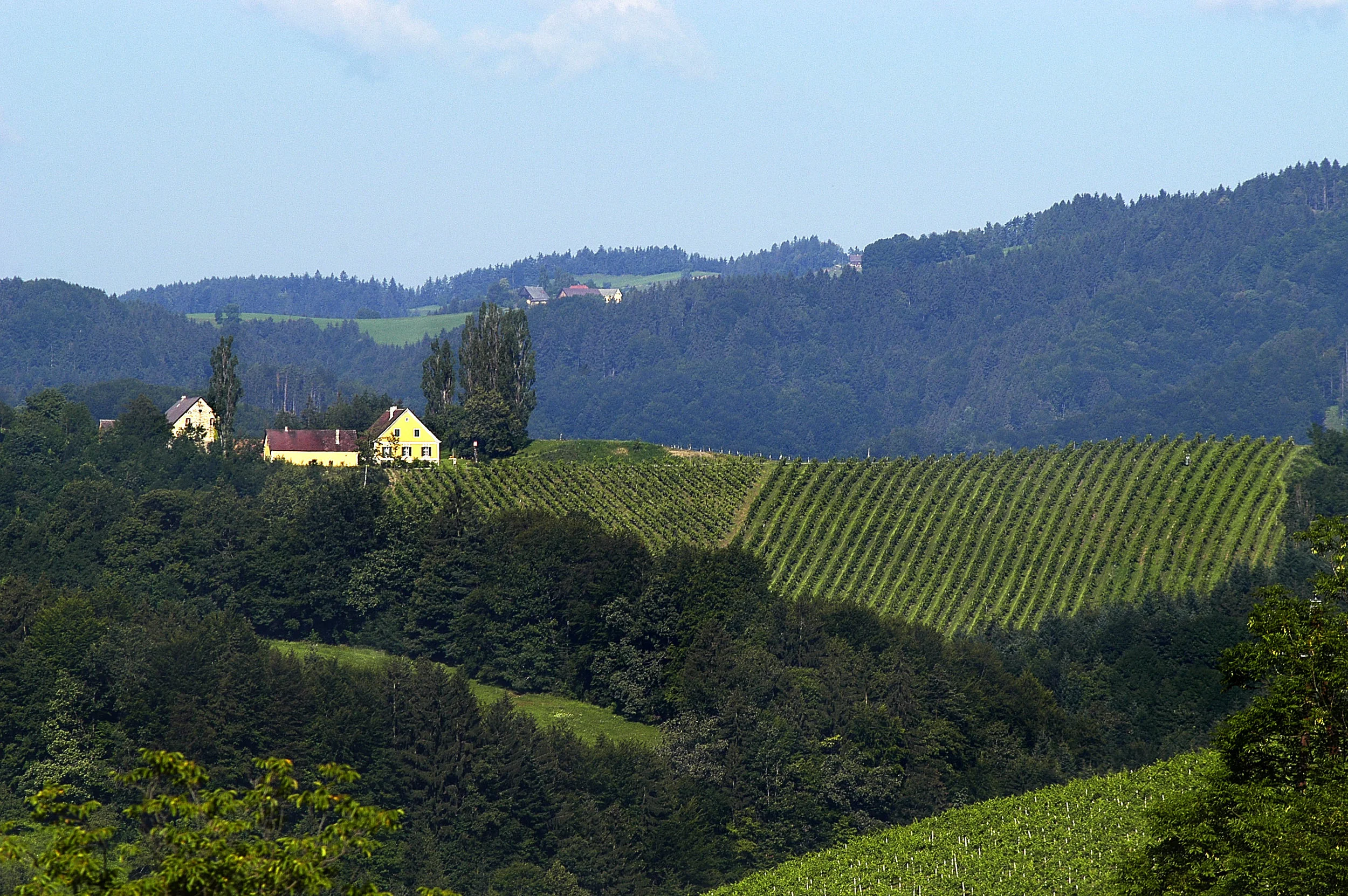 3_estate_and_vineyard_graf.jpg