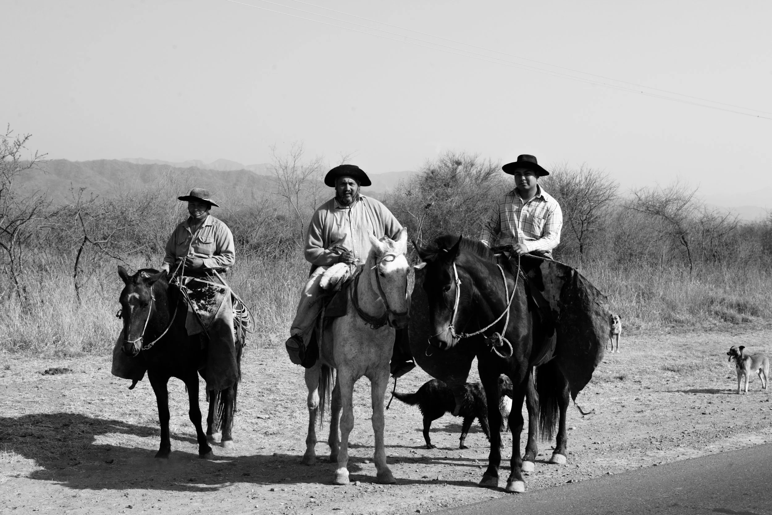 Gaucho Group.jpg