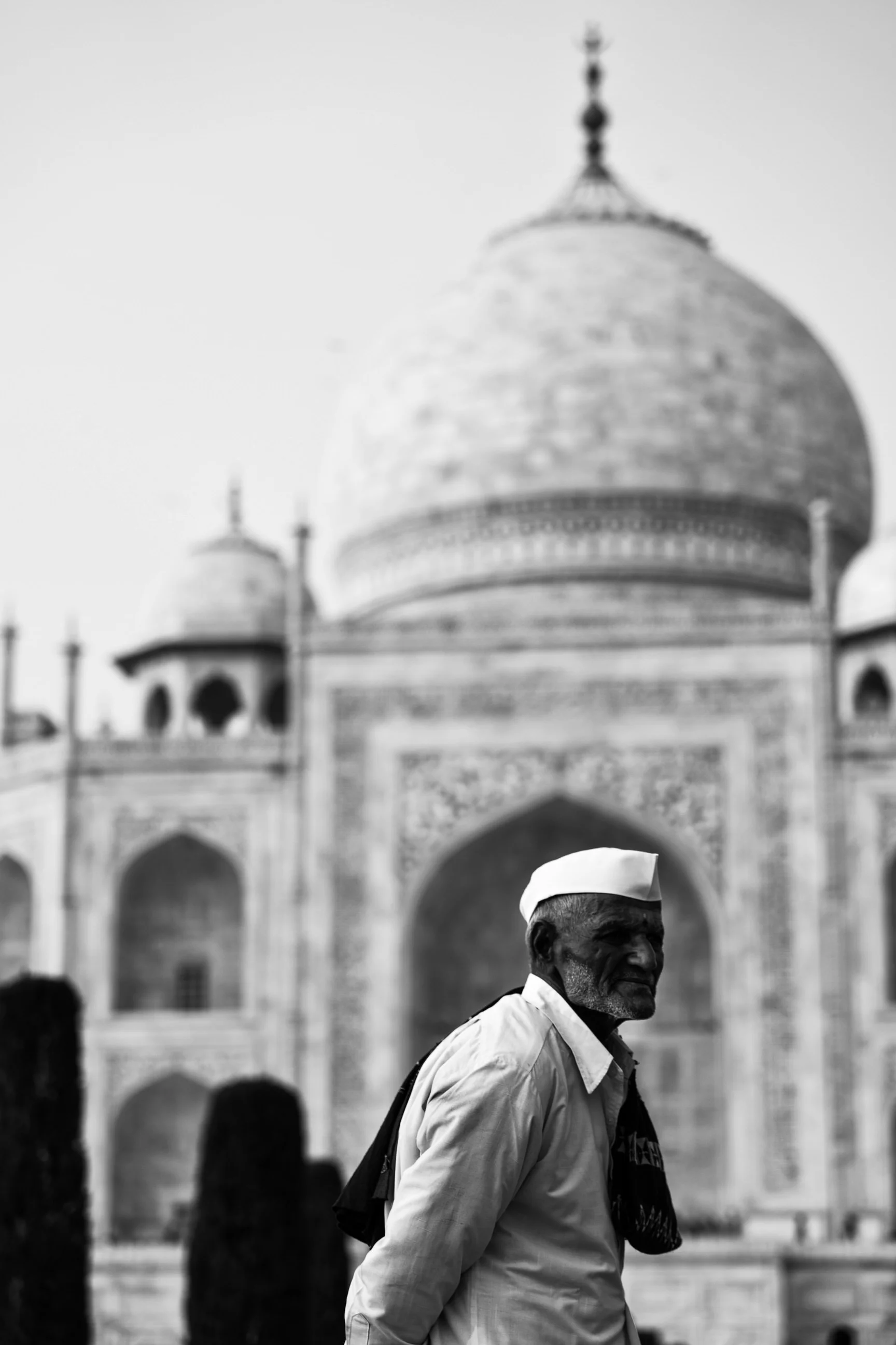 Taj Man.jpg