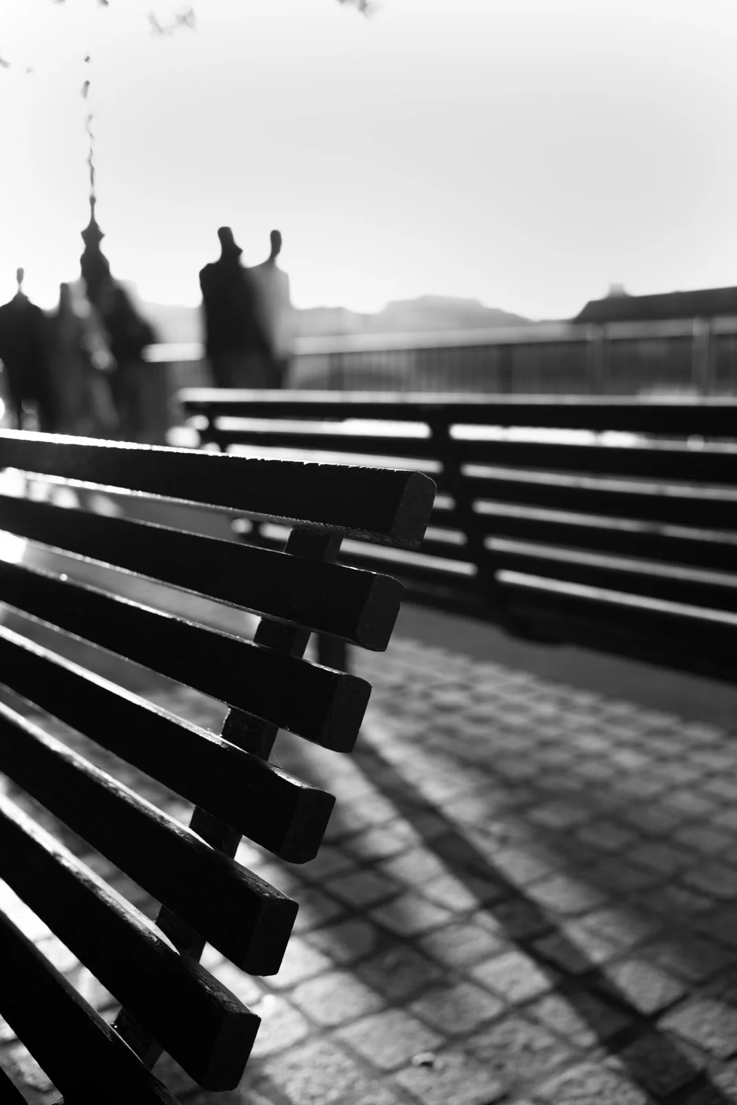Bench Haze.jpg