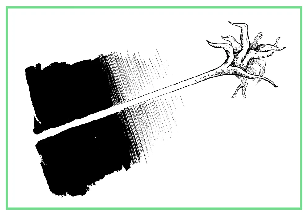 3-Staff.jpg