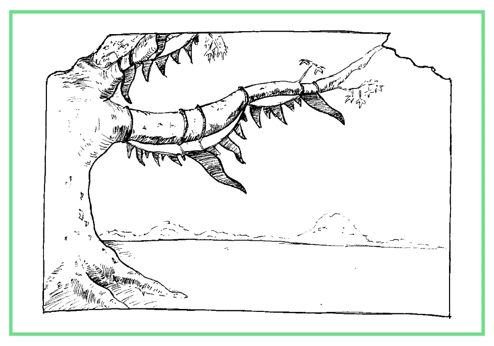8-Pennants.jpg