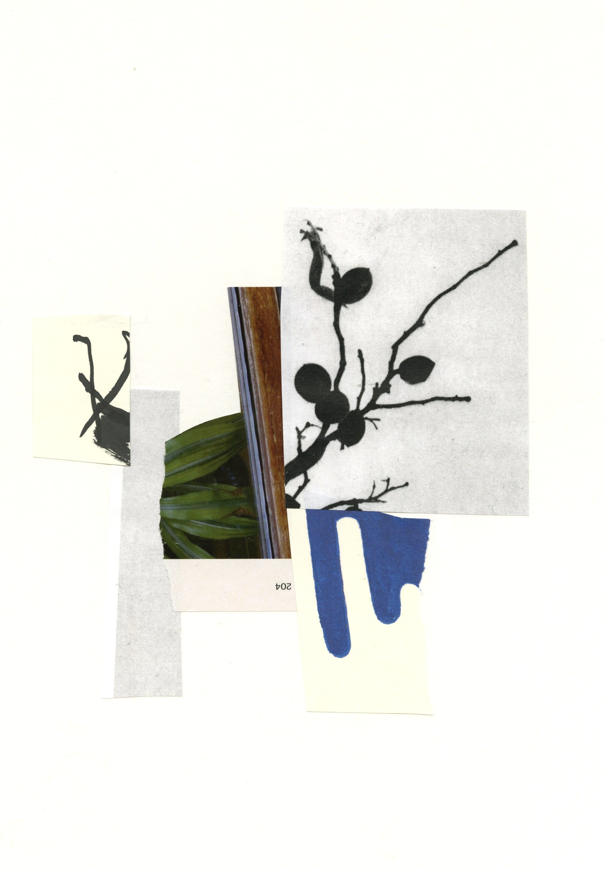 5+January+Collage.jpeg