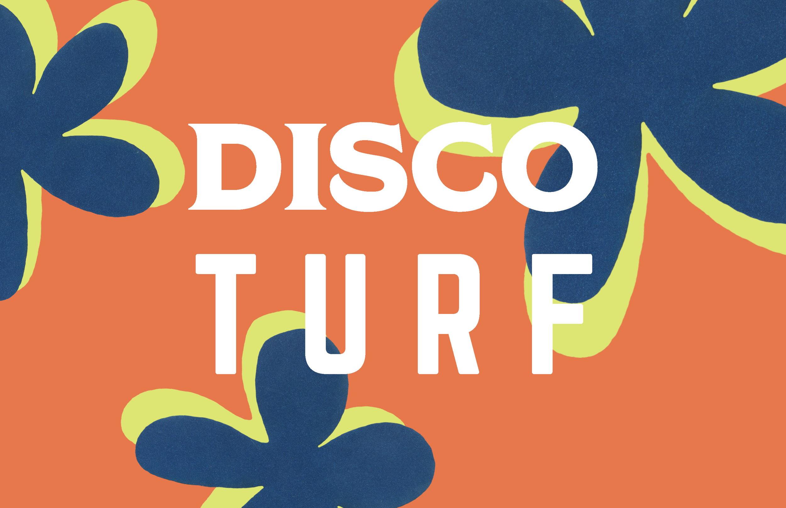 Disco Turf_Page_01.png