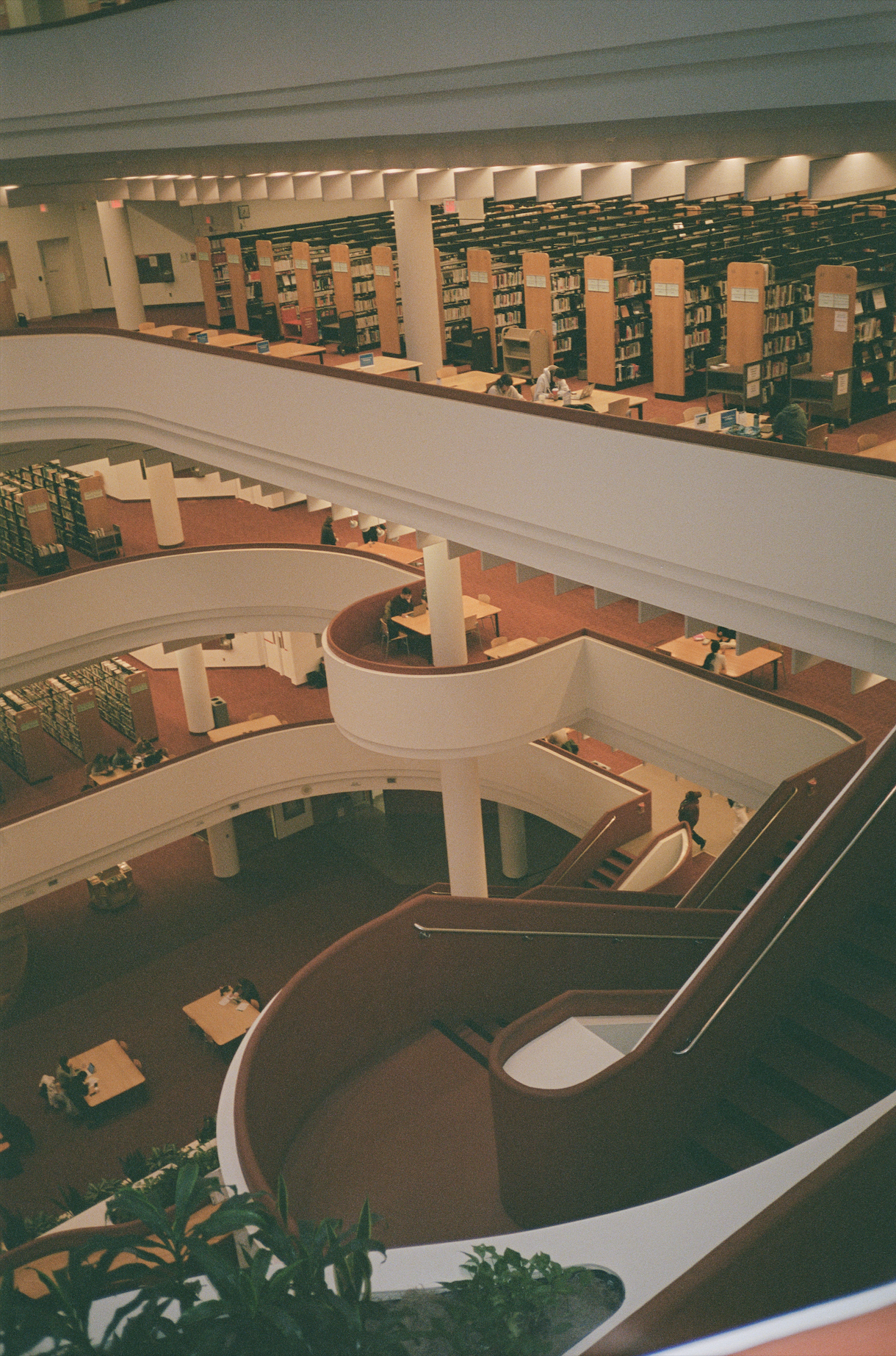 toronto reference library, november 2025