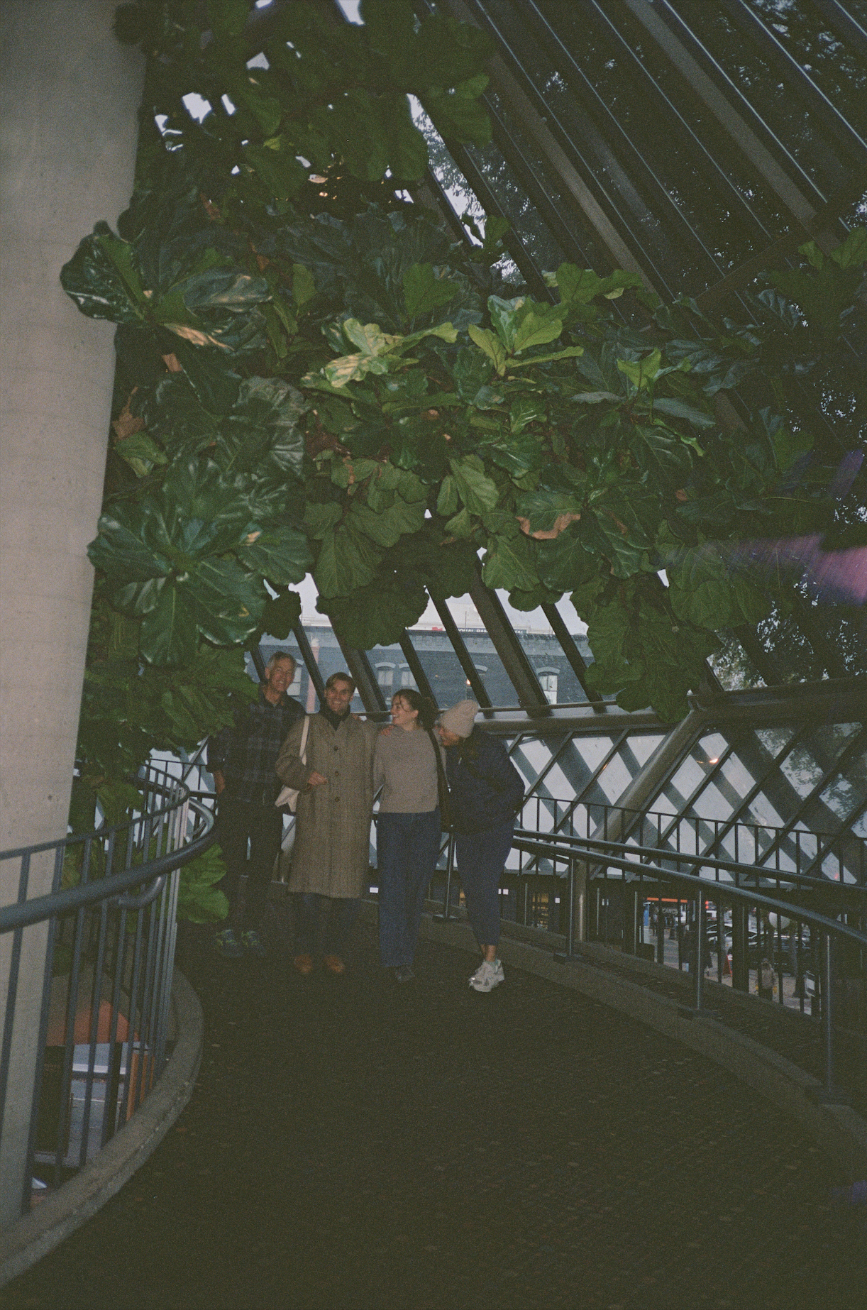 meem &amp; dal &amp; willow &amp; kev under the capitol6 fig tree, november 2025