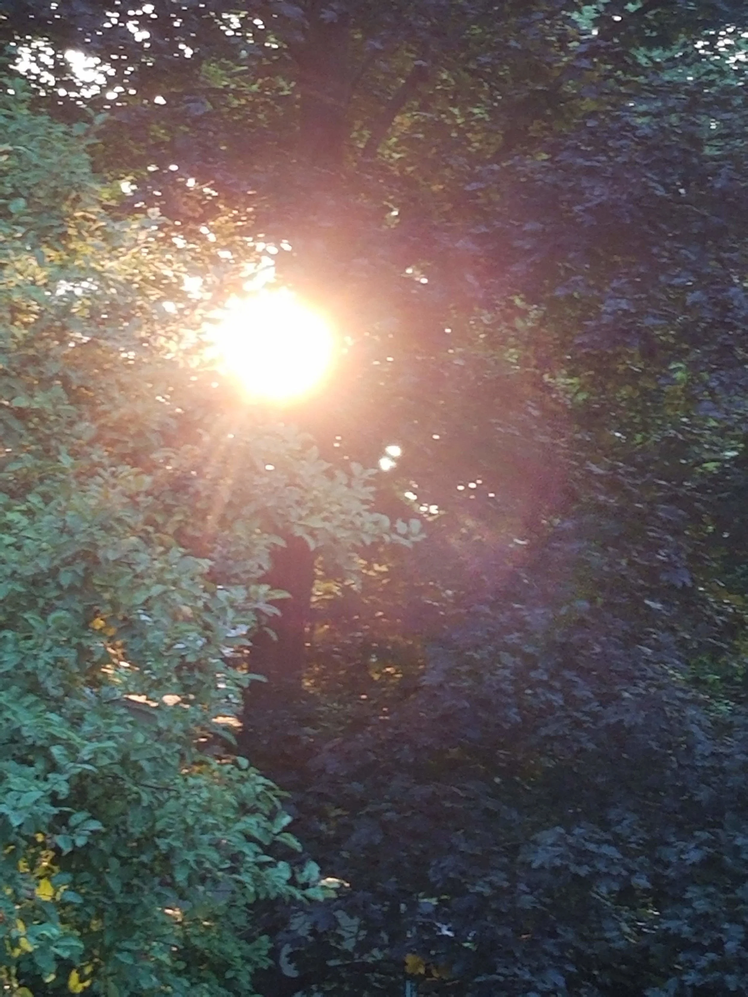 20180810_063316.jpg