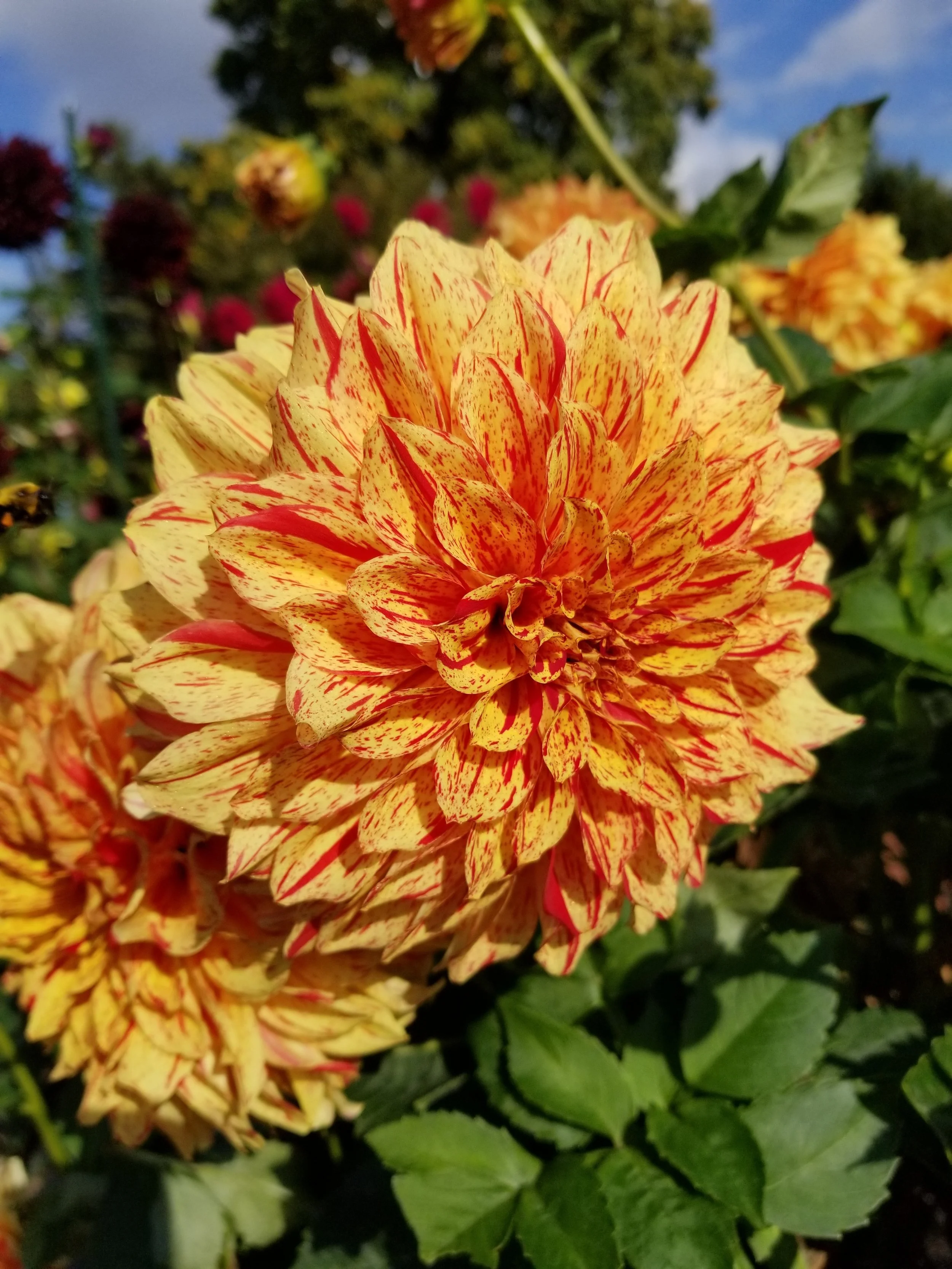 20181009_142659.jpg