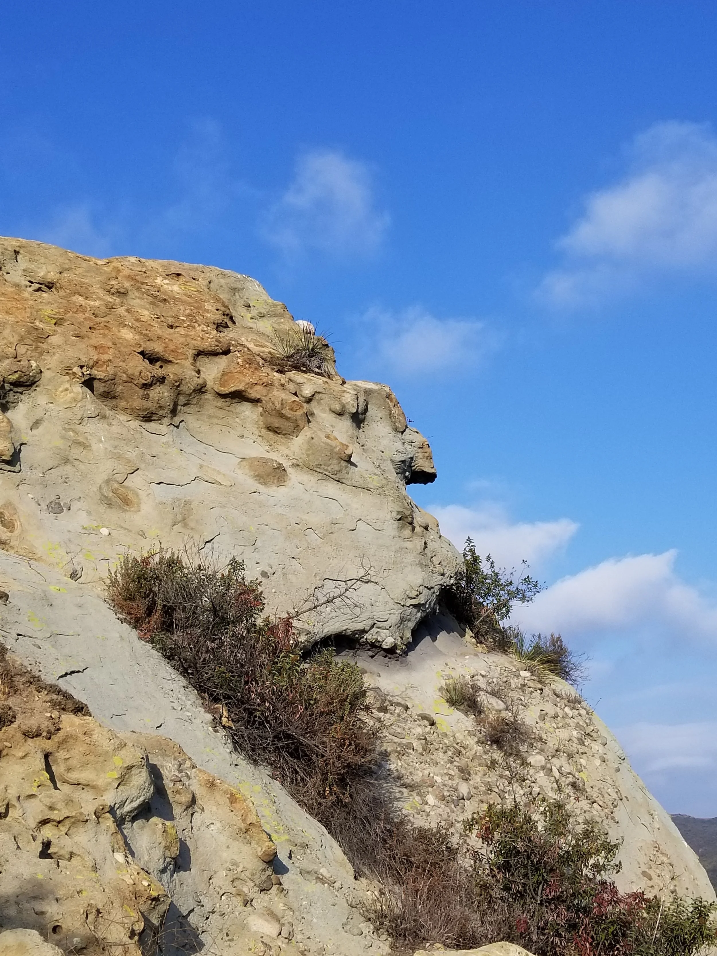 20181006_170146.jpg