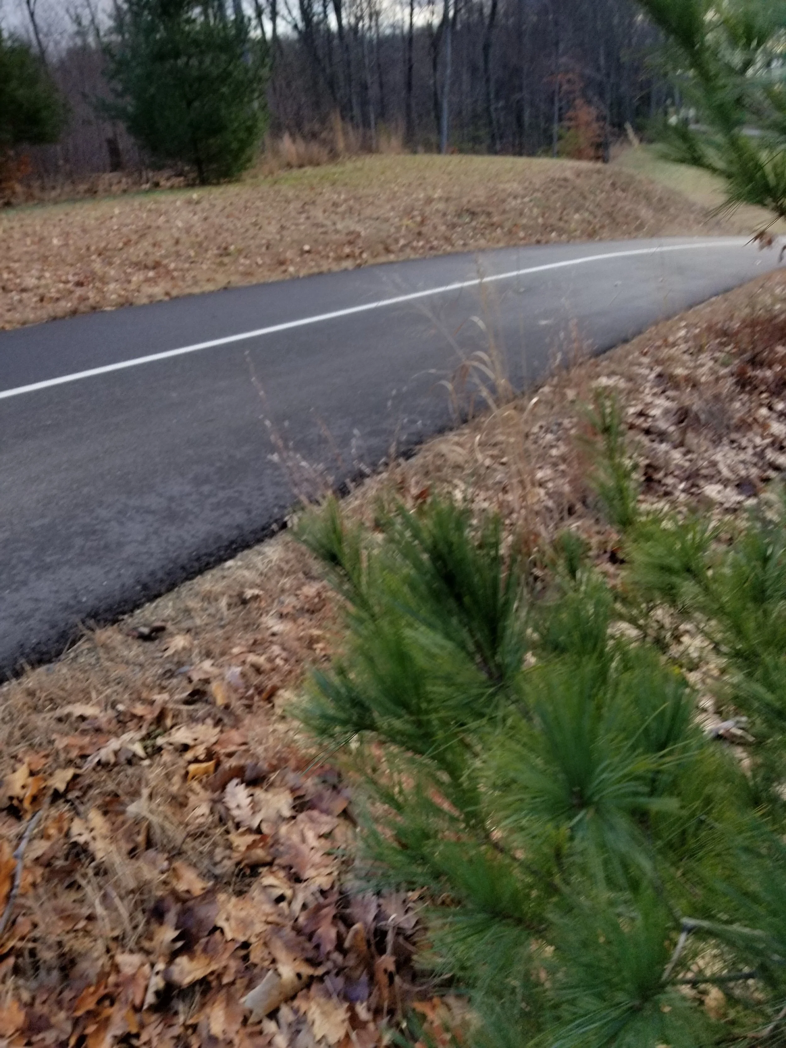 20181203_143213.jpg