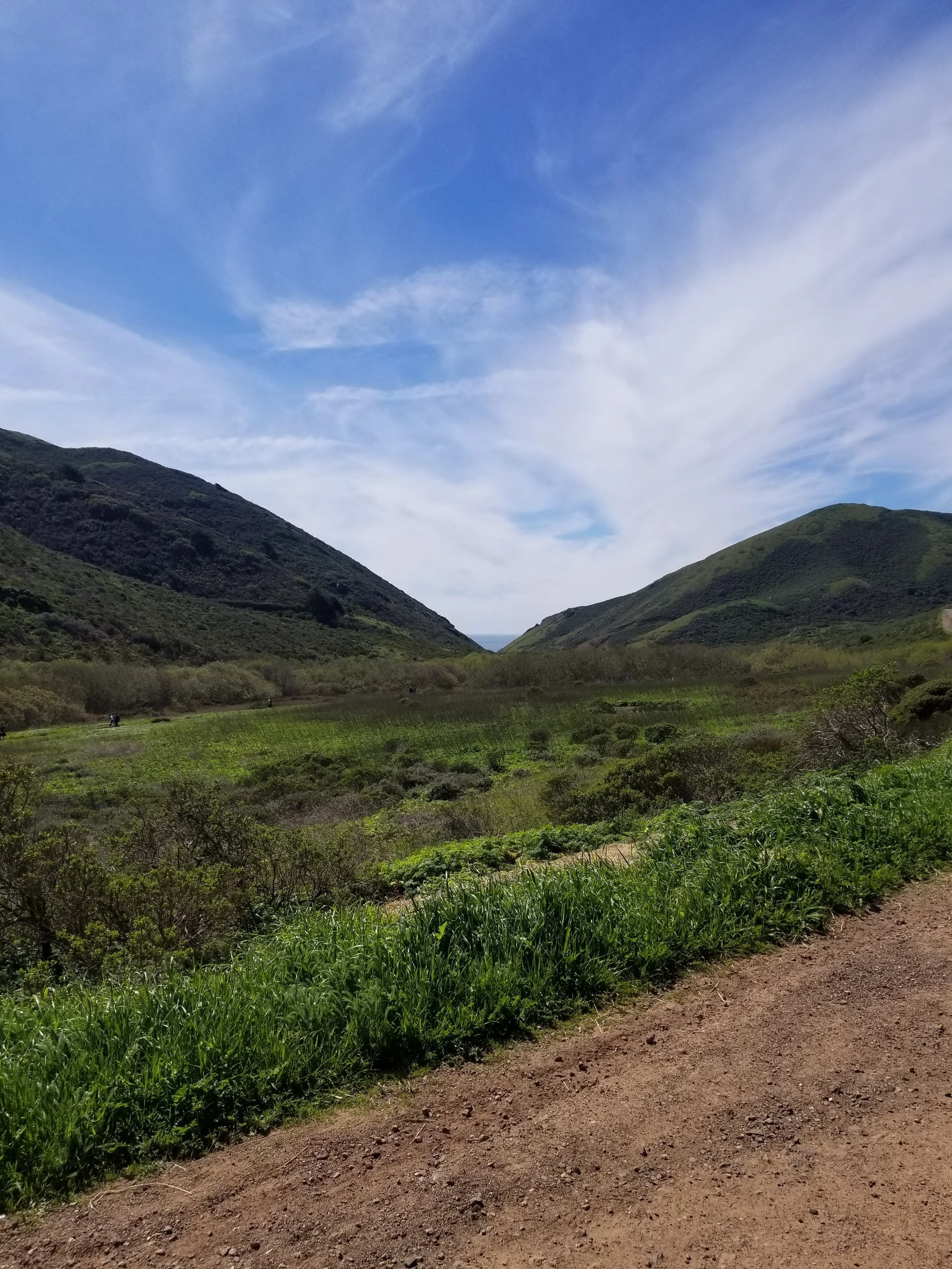 20190317_132321.jpg