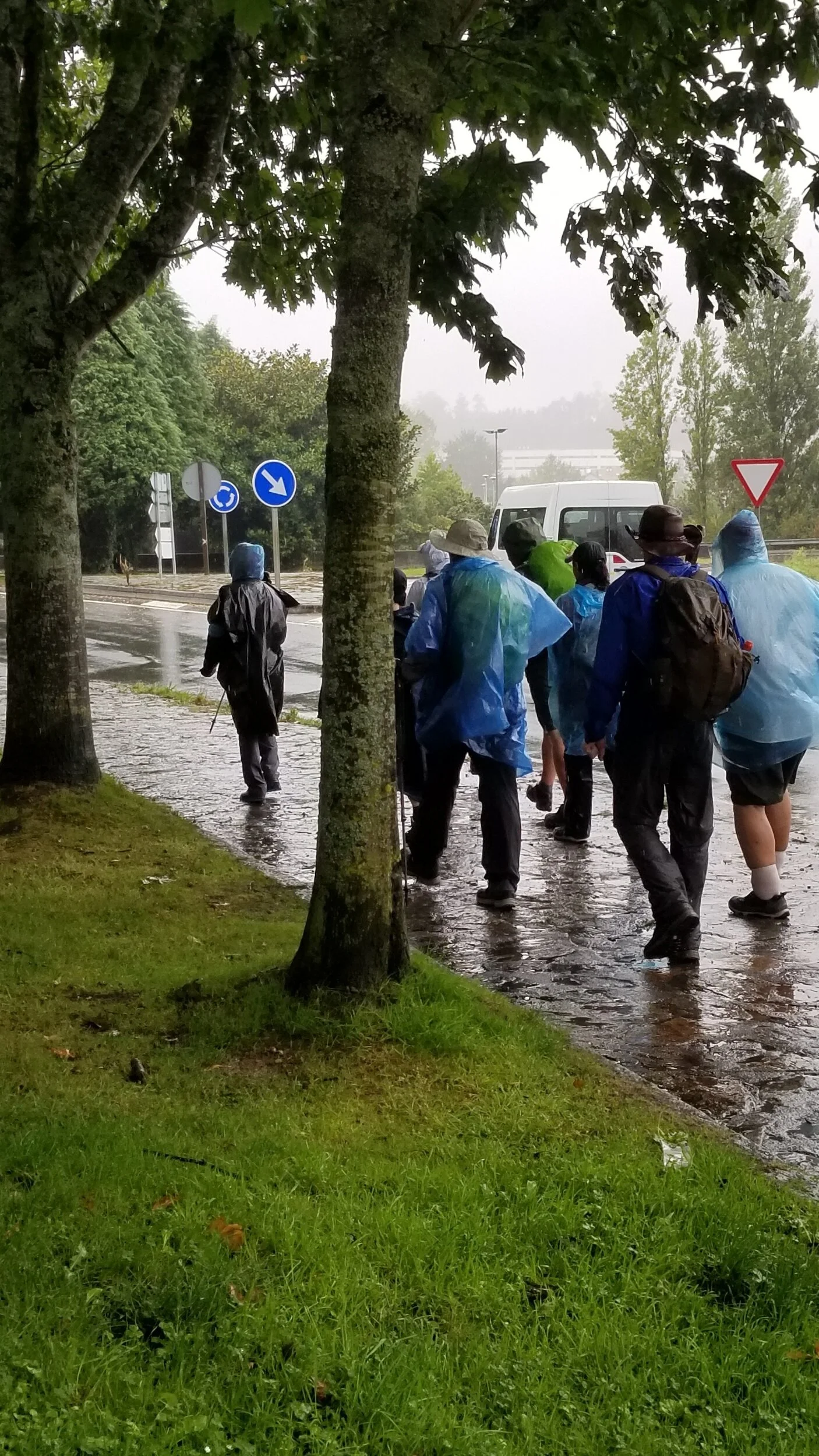 processed_20190921_150748.jpg