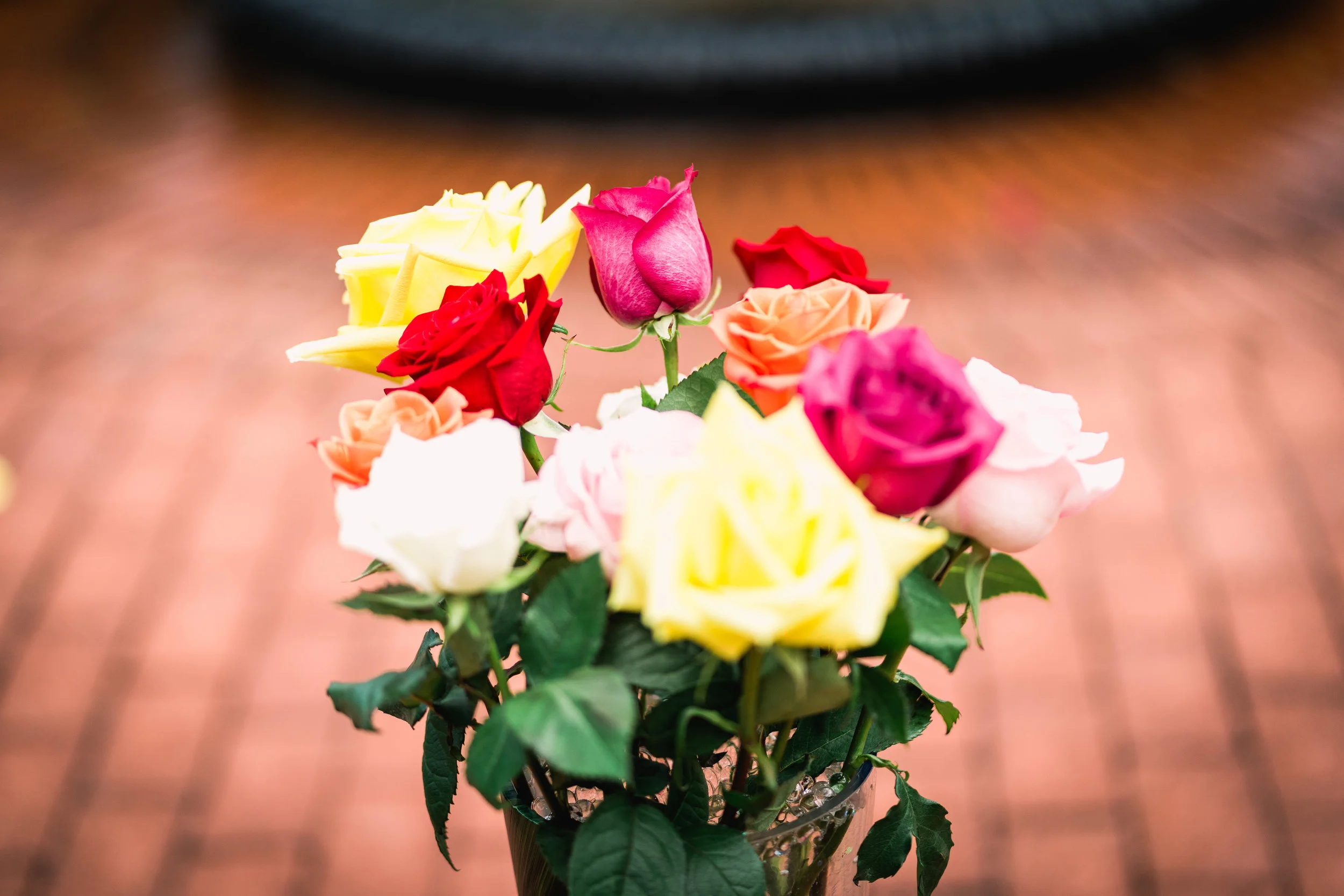 untitled-6-4.jpg