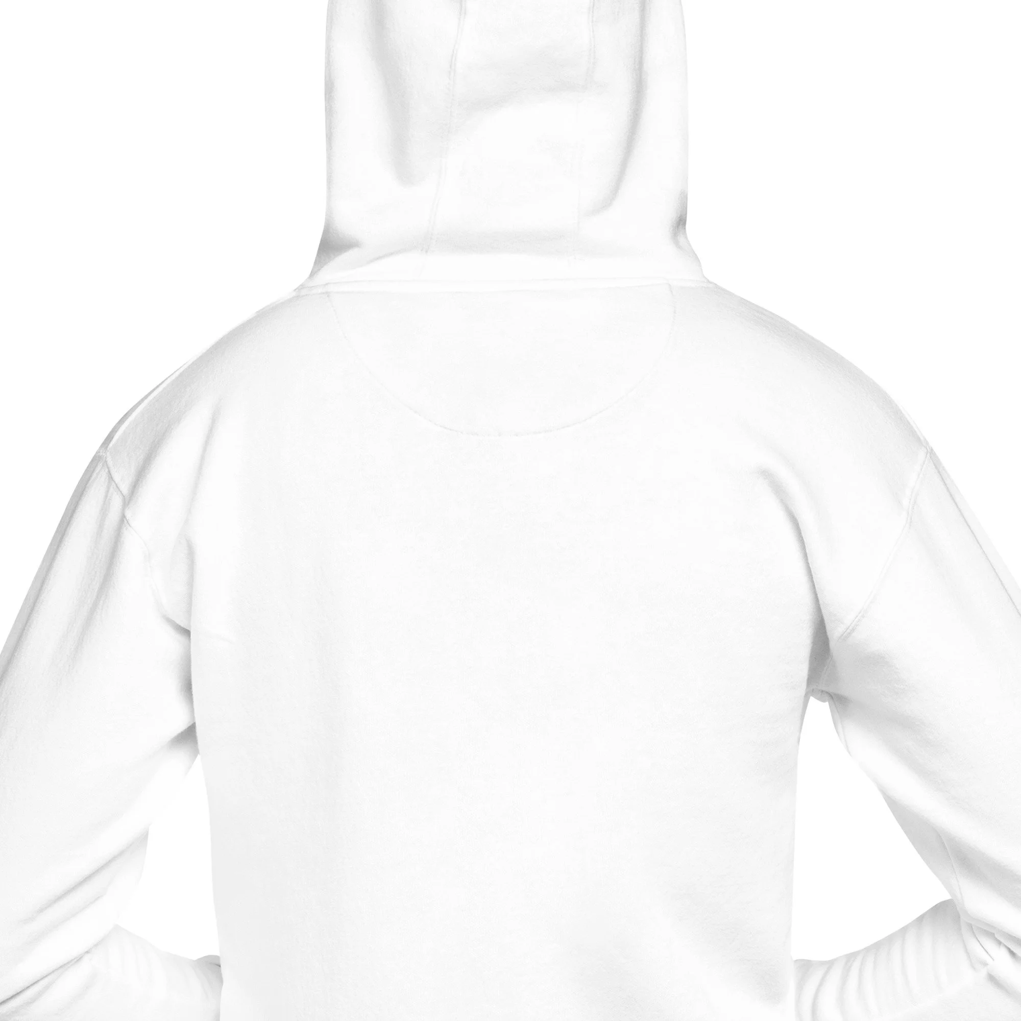 unisex-premium-pullover-hoodie-white-zoomed-in-6a5d0a48d6039.jpg