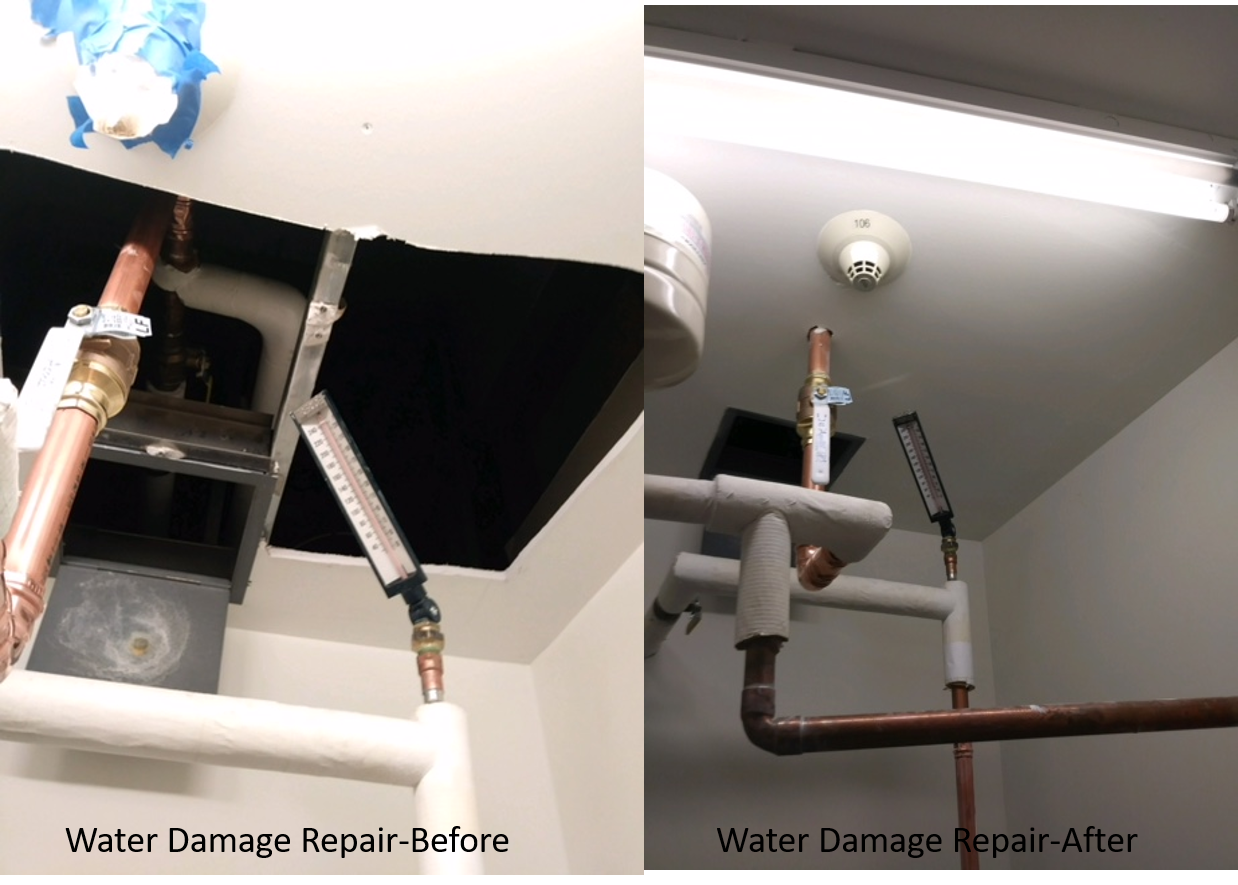Water Damage Before and After.png