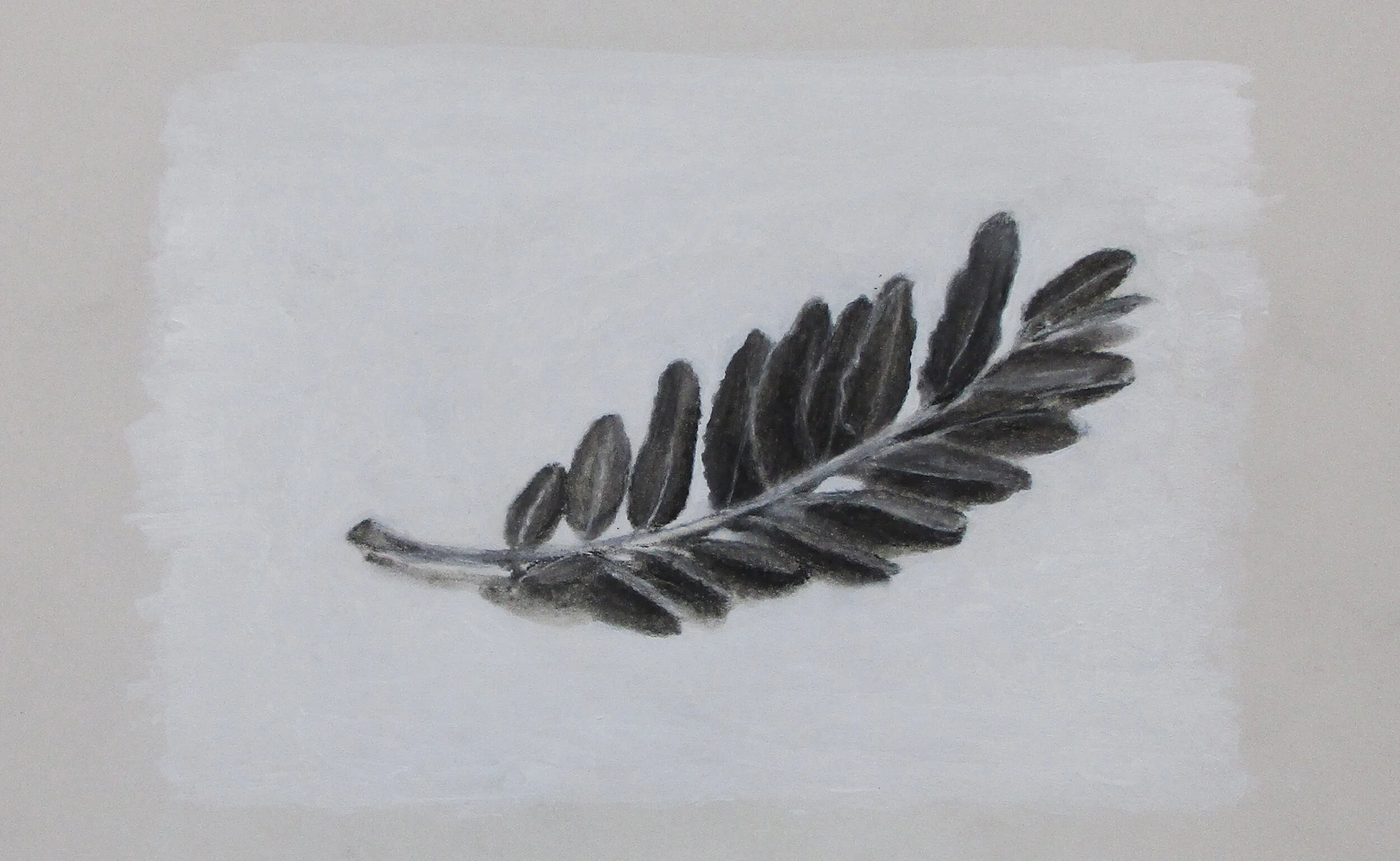 Leaf Study.jpg
