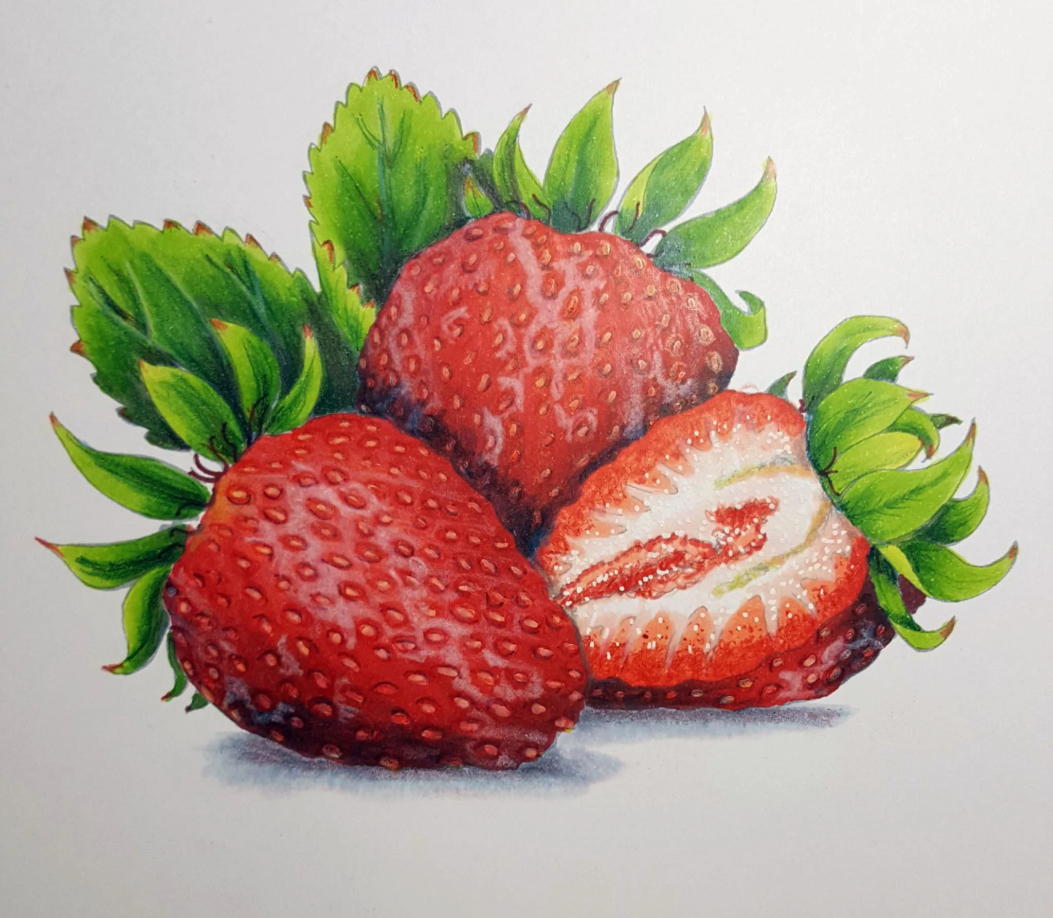 Sandy Strawberries.jpg