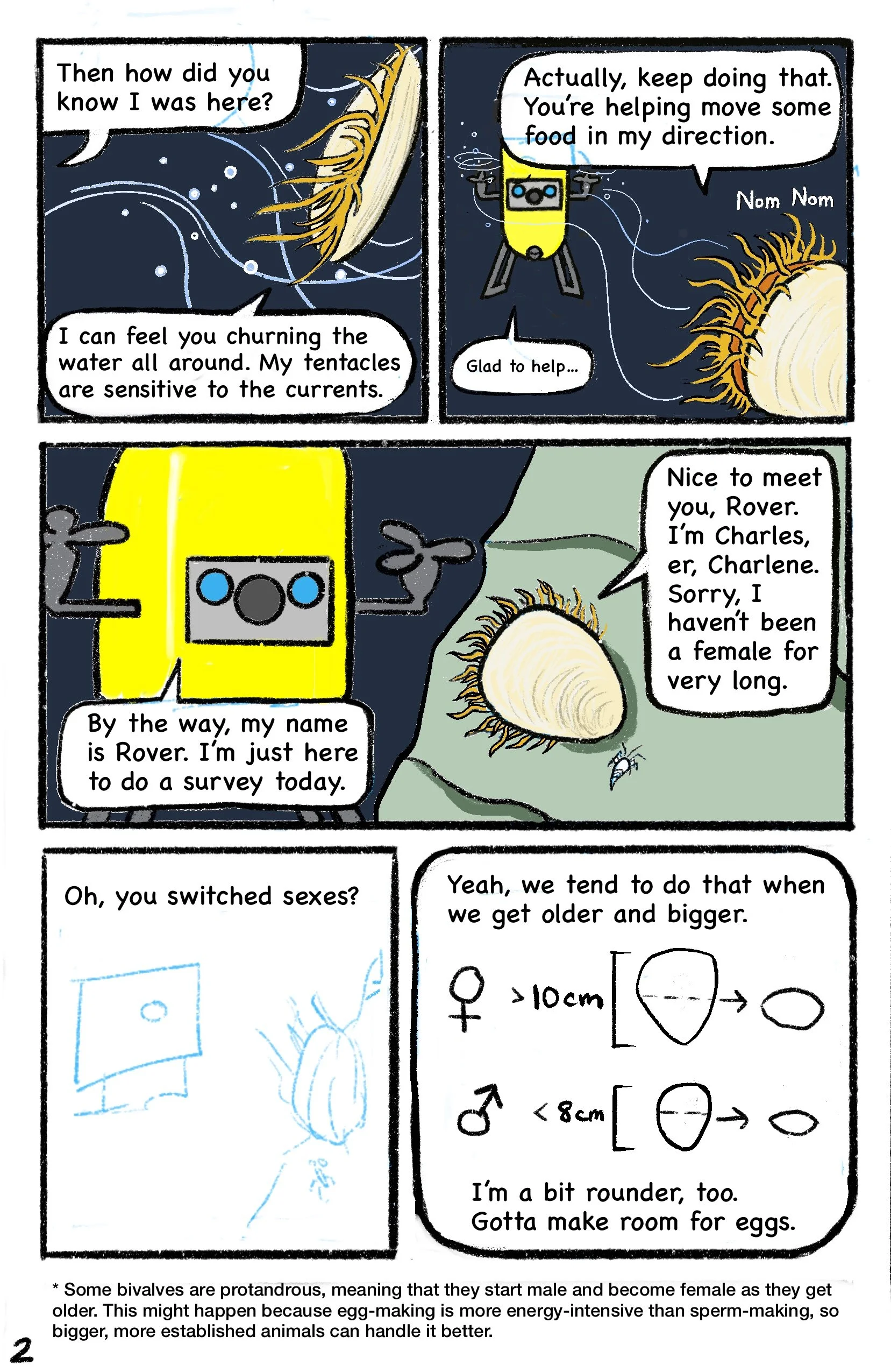 Megan P_file clam_Page_2.jpeg