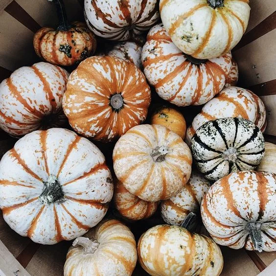 Mood Board | October 