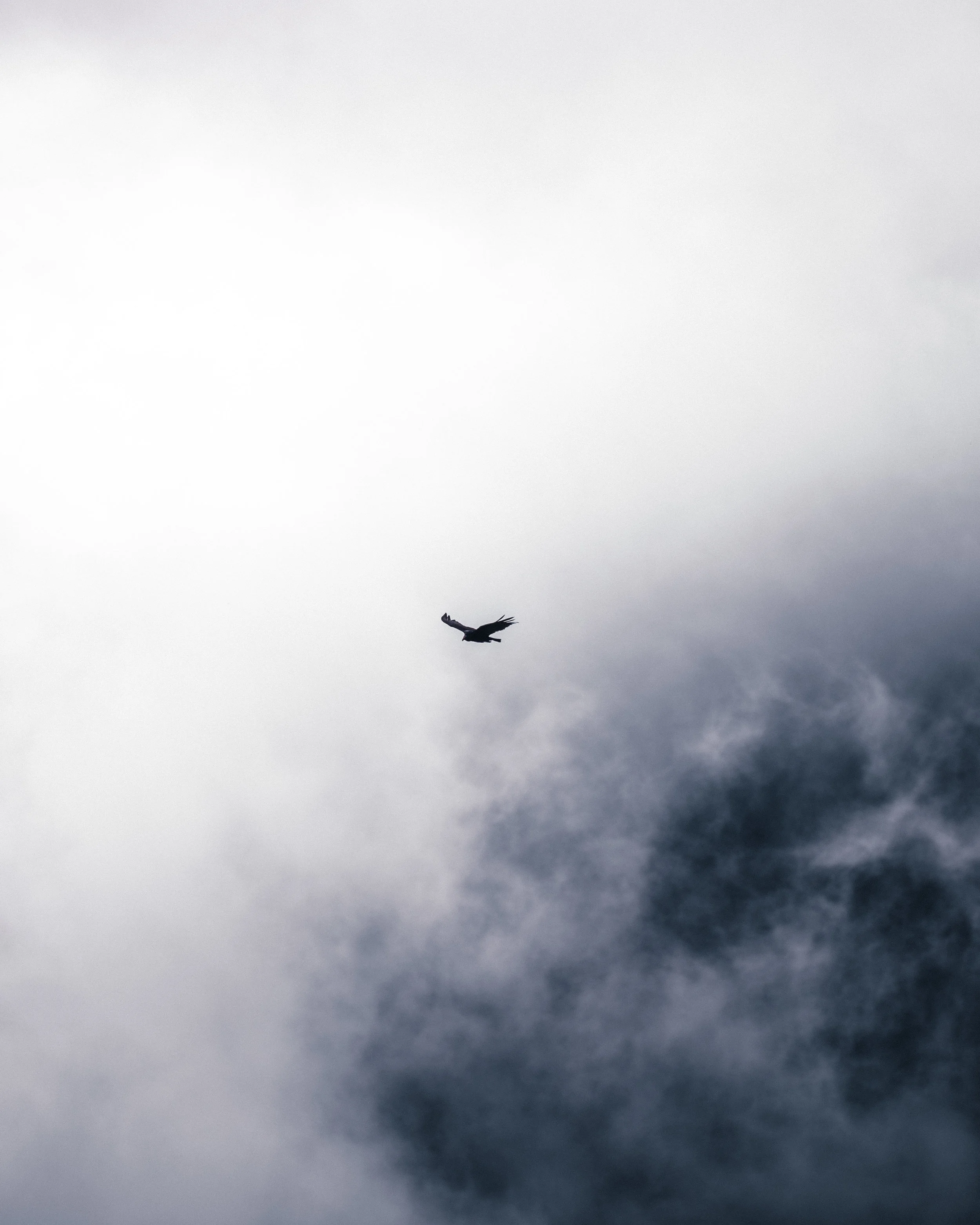 DSCF9101-1.jpg