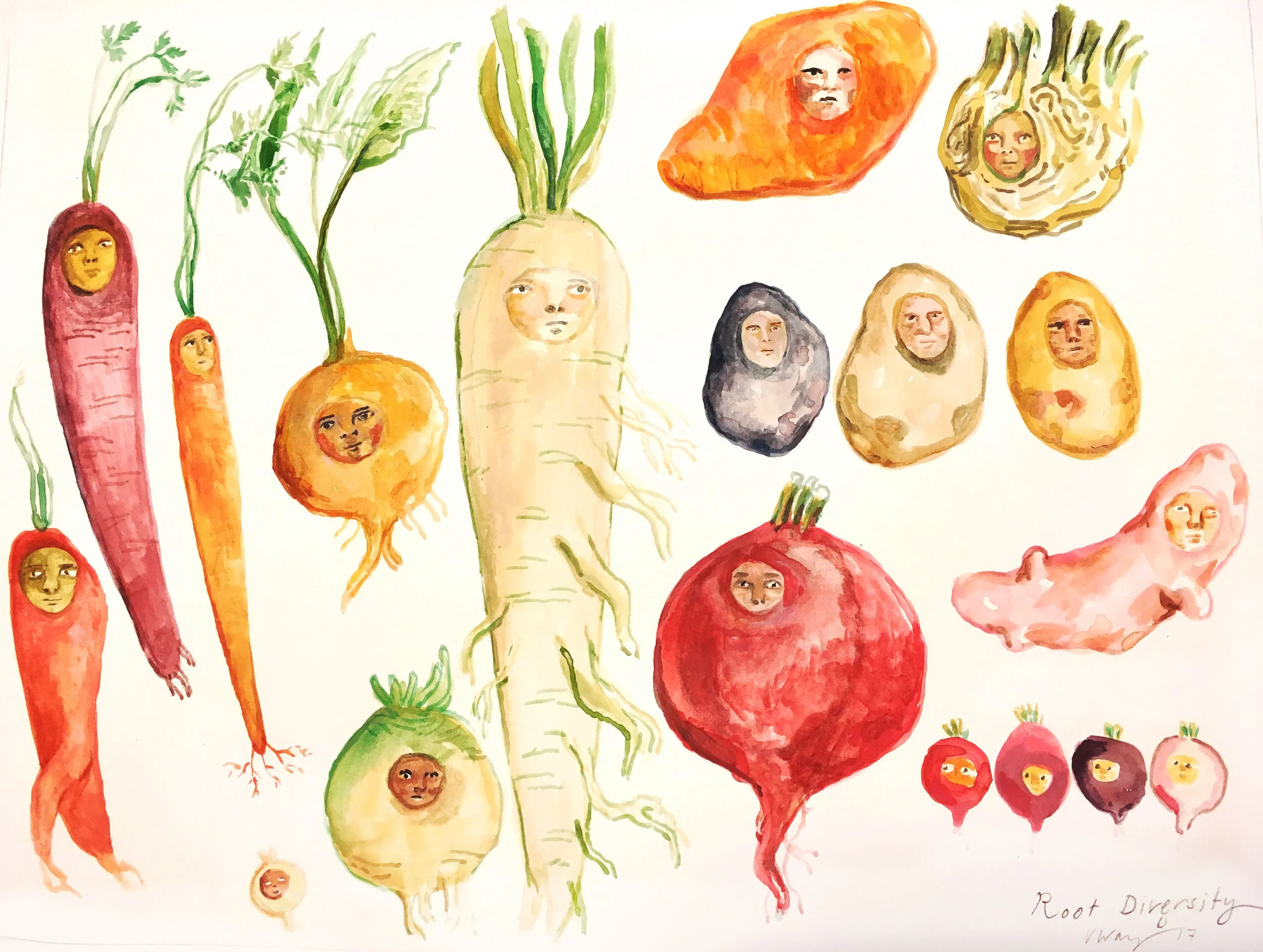 root diversity.jpg
