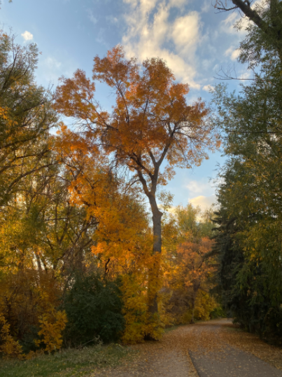 A reflection on "Creator Spiritus" by Geoffrey Bache Smith, a poet and close friend of J.R.R. Tolkien.