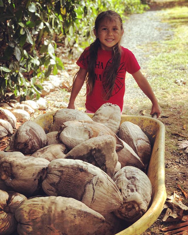 Kuʻu mahiʻai! Lucky to have this next generation farmer. We planted our 20th ʻulu tree this weekend at the farm. #Nohoʻanafarm #Waikapū #mahiʻai #kuleanaland #womanwhofarm #farmergirl #sustainableagriculture #farmlife