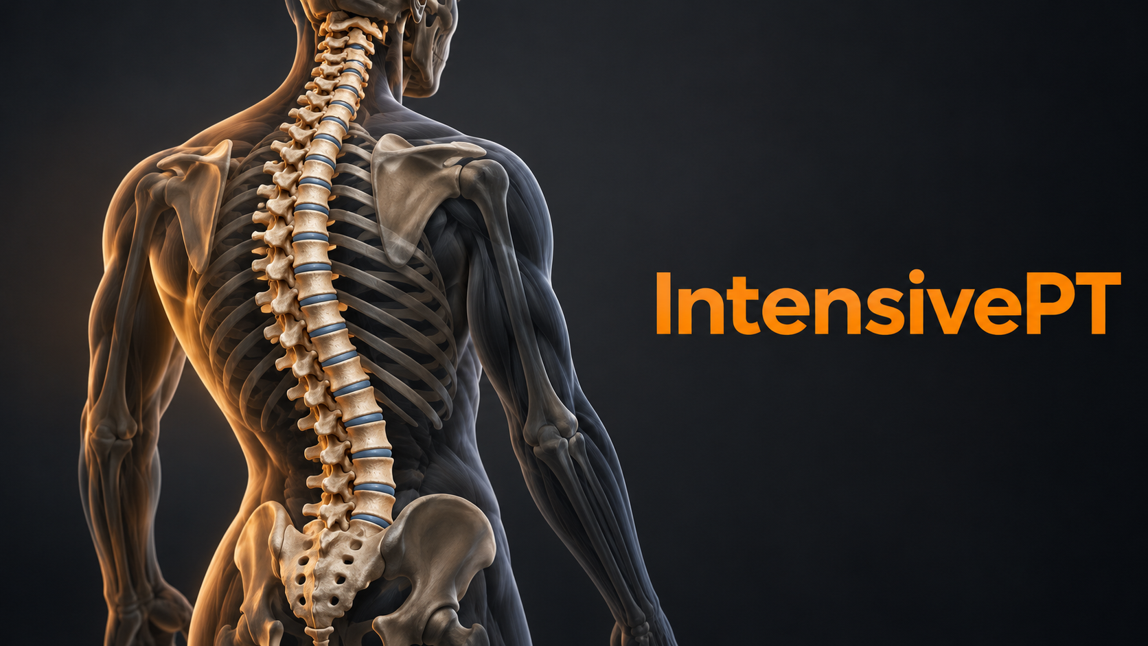 Anatomisk ryggrad med IntensivePT (1).png
