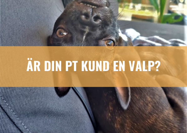 Är en PT kund en valp?