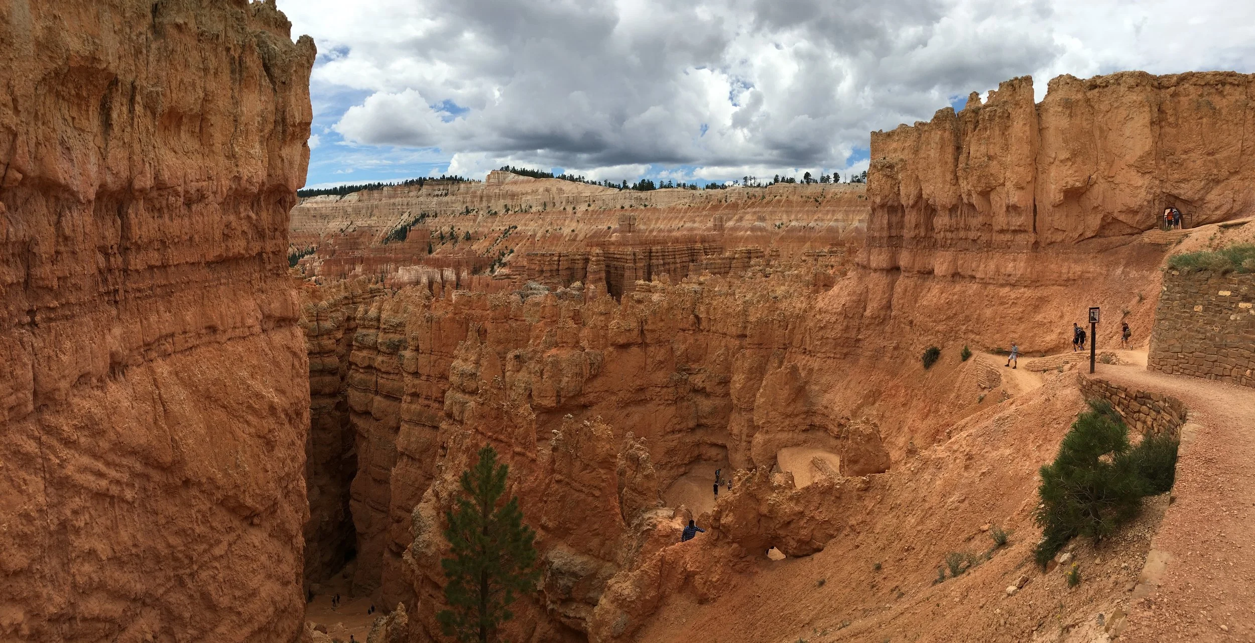 Large view in Bryce.jpg