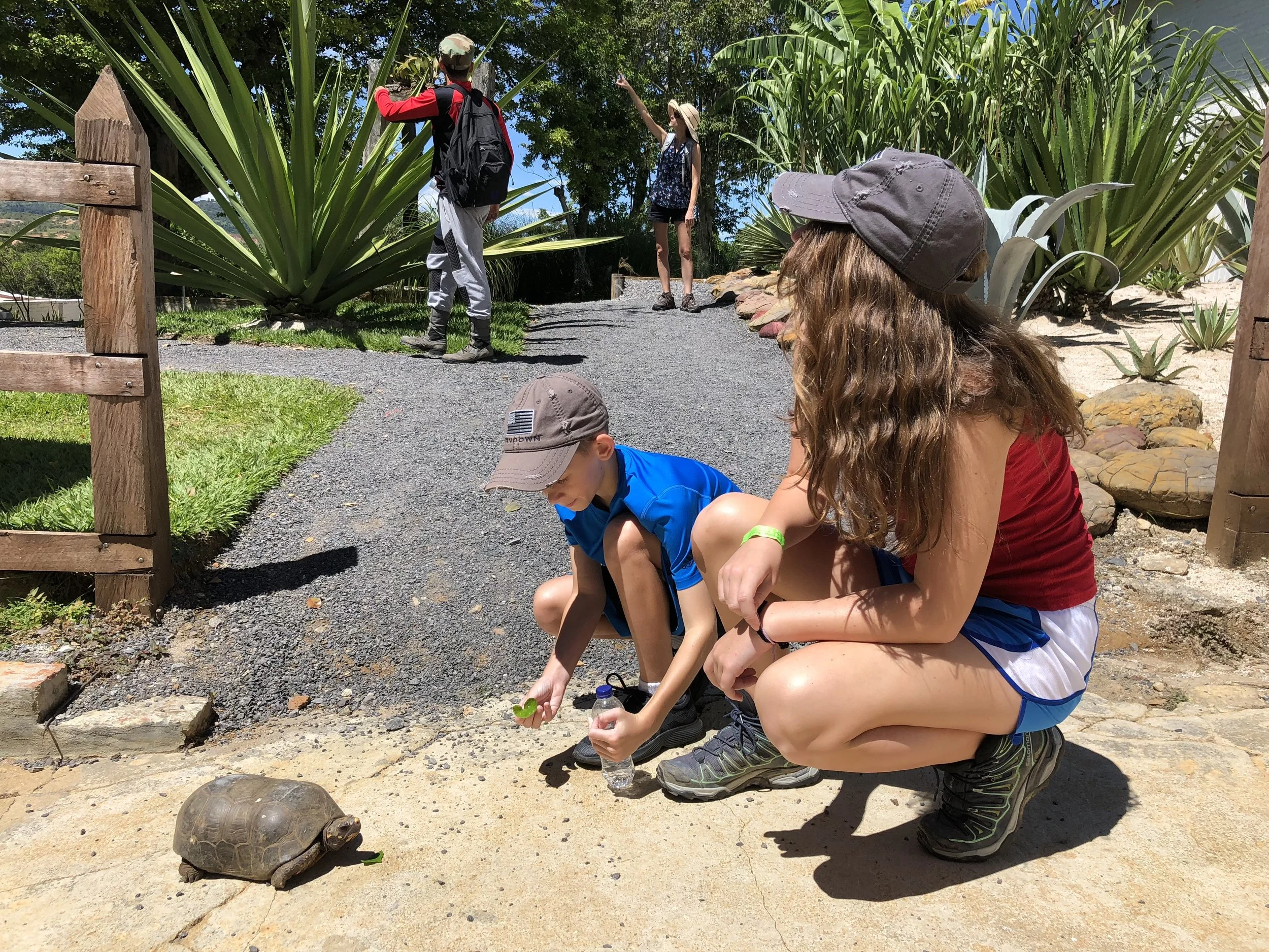 My kids found a friend in the garden.