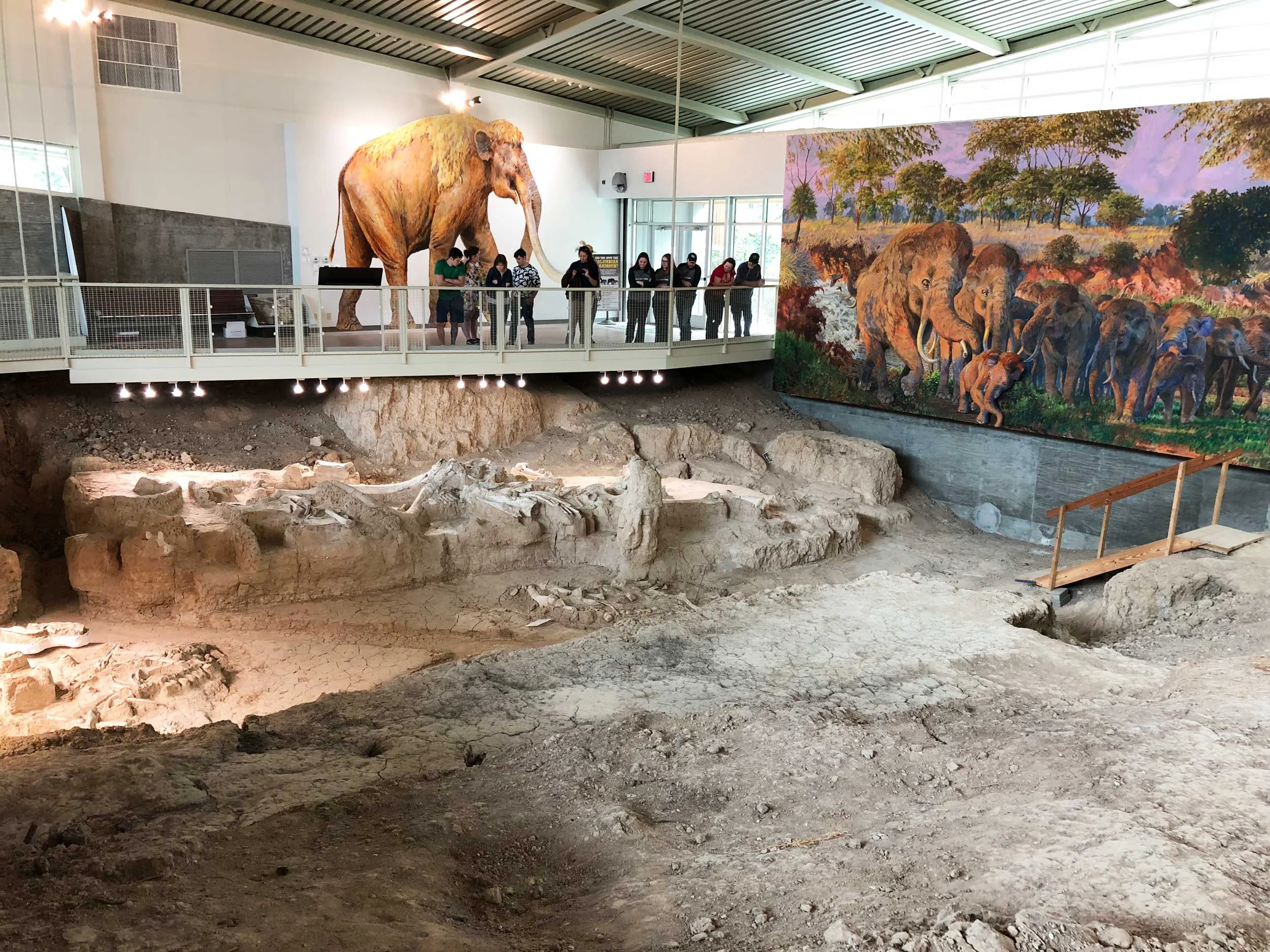 Waco Mammoth National Monument. The nation’s only recorded discovery of a nursery herd of Columbian mammoths in-situ.